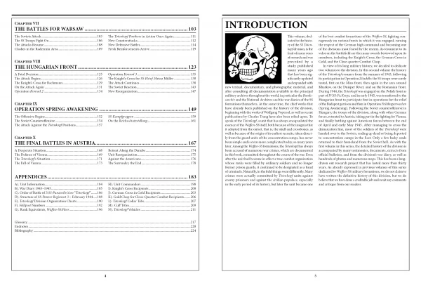 The 3rd Waffen-SS Panzer Division Totenkopf, 1943-1945 - Image 3