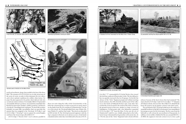 The 3rd Waffen-SS Panzer Division Totenkopf, 1943-1945 - Image 6