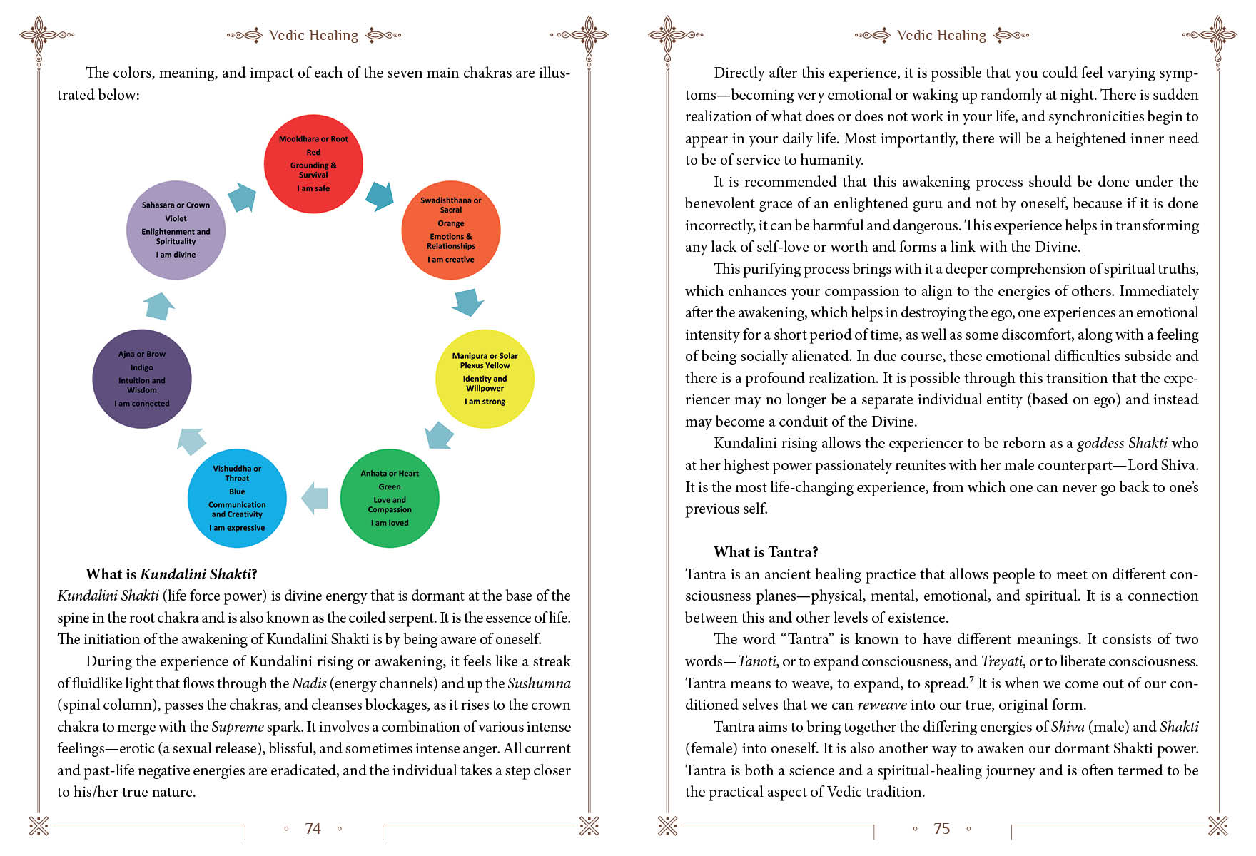 A Peek into Vedic Wellness - Image 5