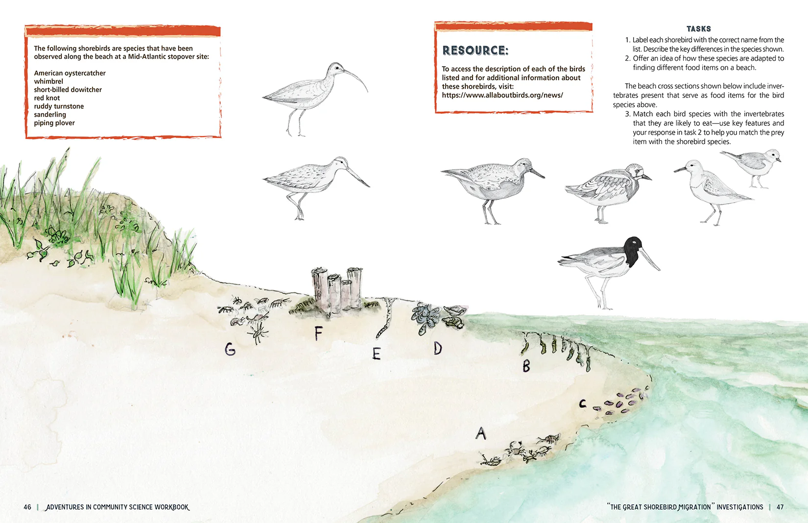 Adventures in Community Science Workbook - Image 6