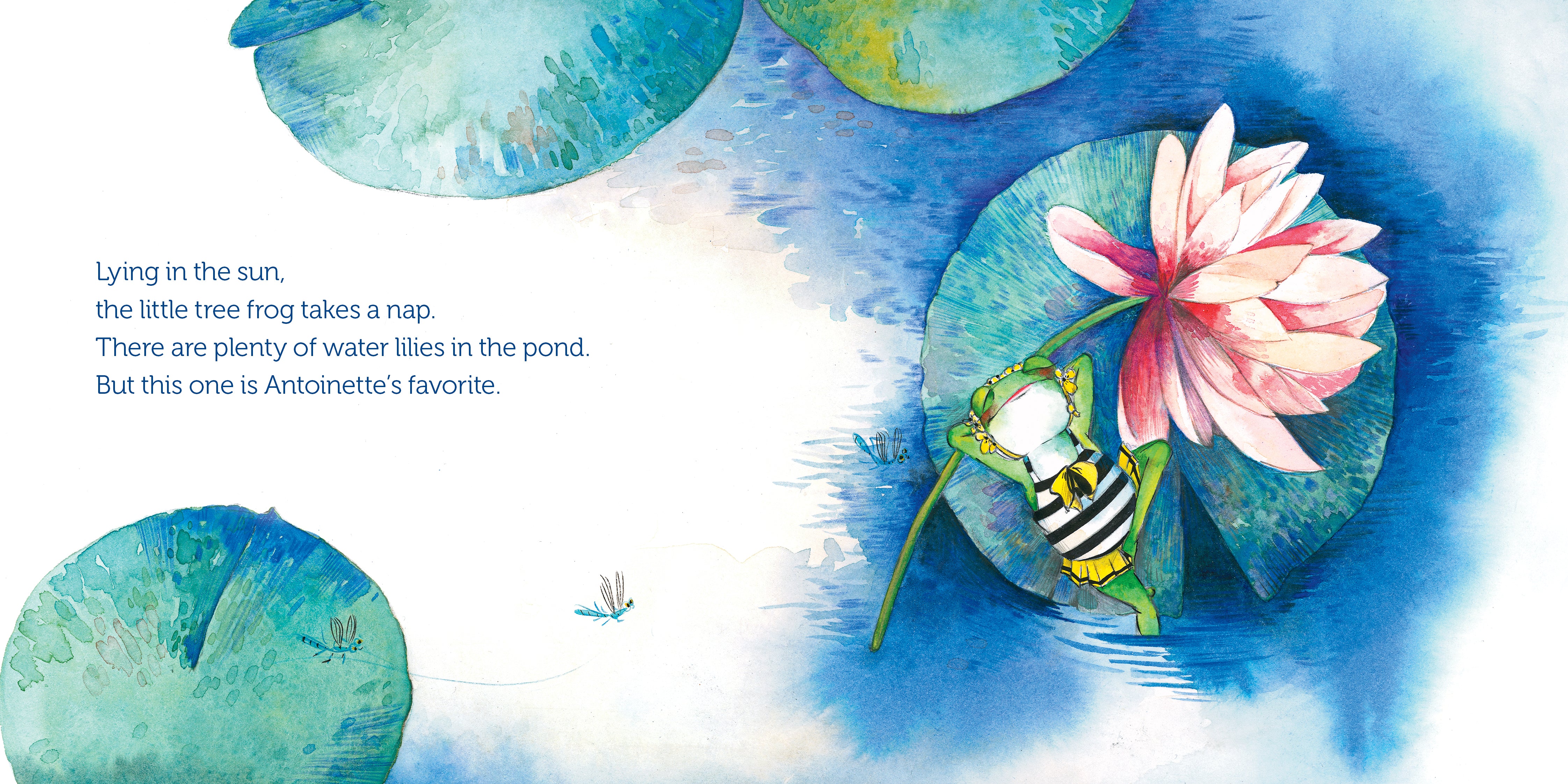 Antoinette the Tree Frog - Image 2
