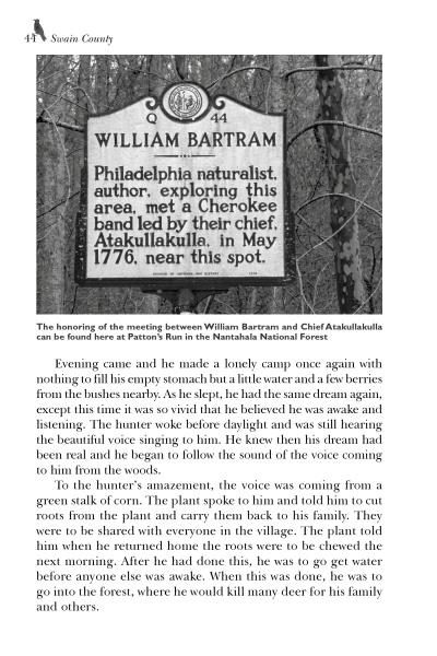 Appalachia Mountain Folklore - Image 2