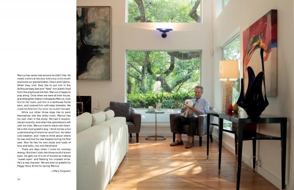 At Home with Dogs - Image 4