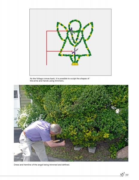 Basic Topiary - Image 3