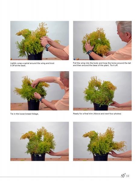 Basic Topiary - Image 4