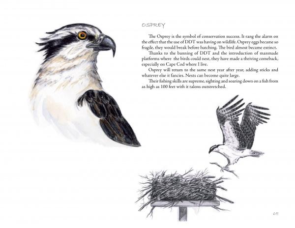 The Birds We Live With - Image 3