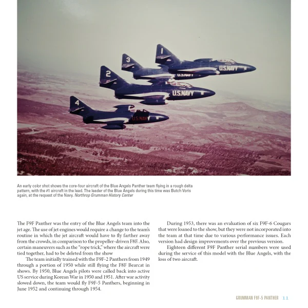 The Blue Angels - Image 7
