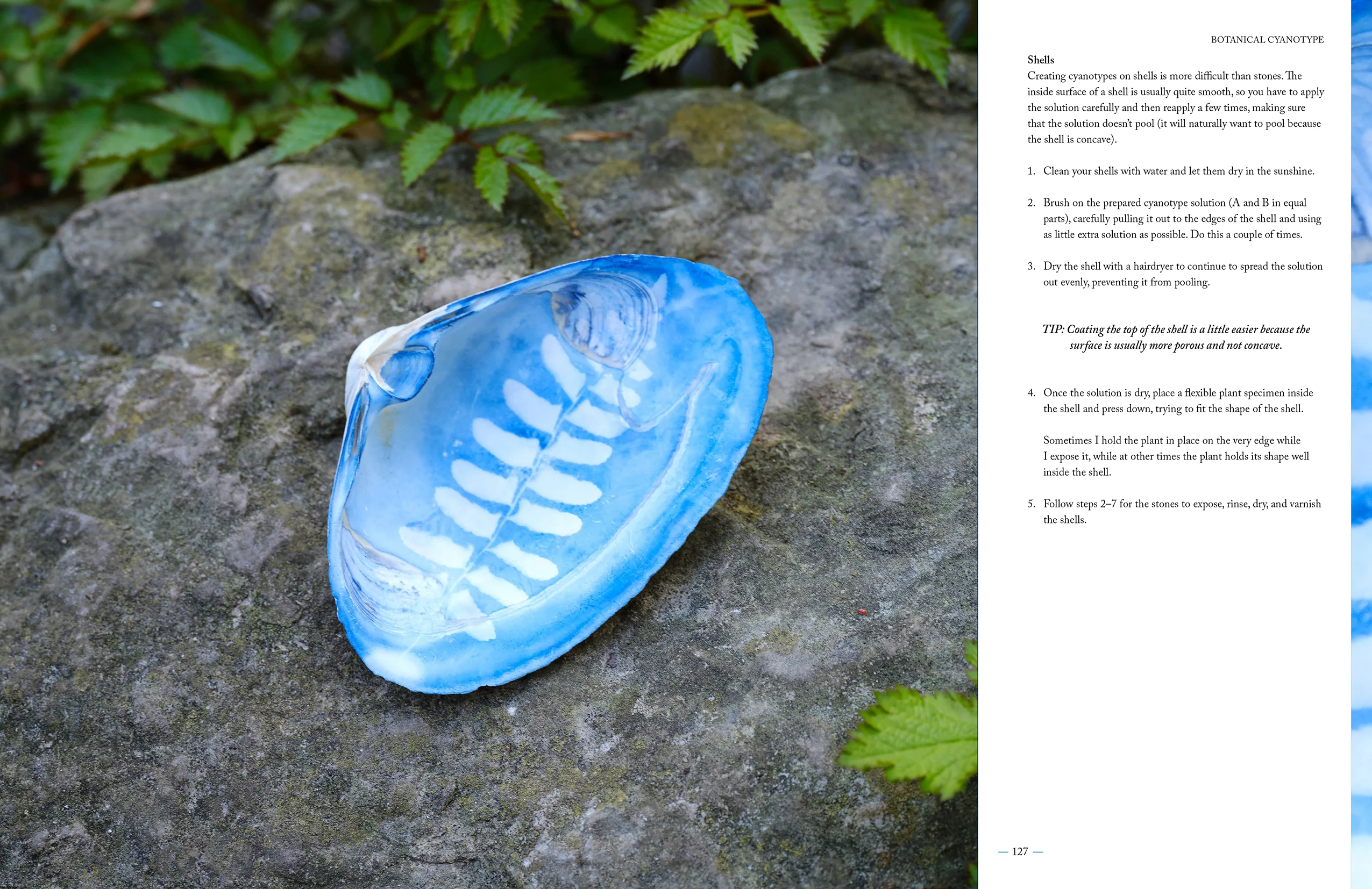 Botanical Cyanotype - Image 12