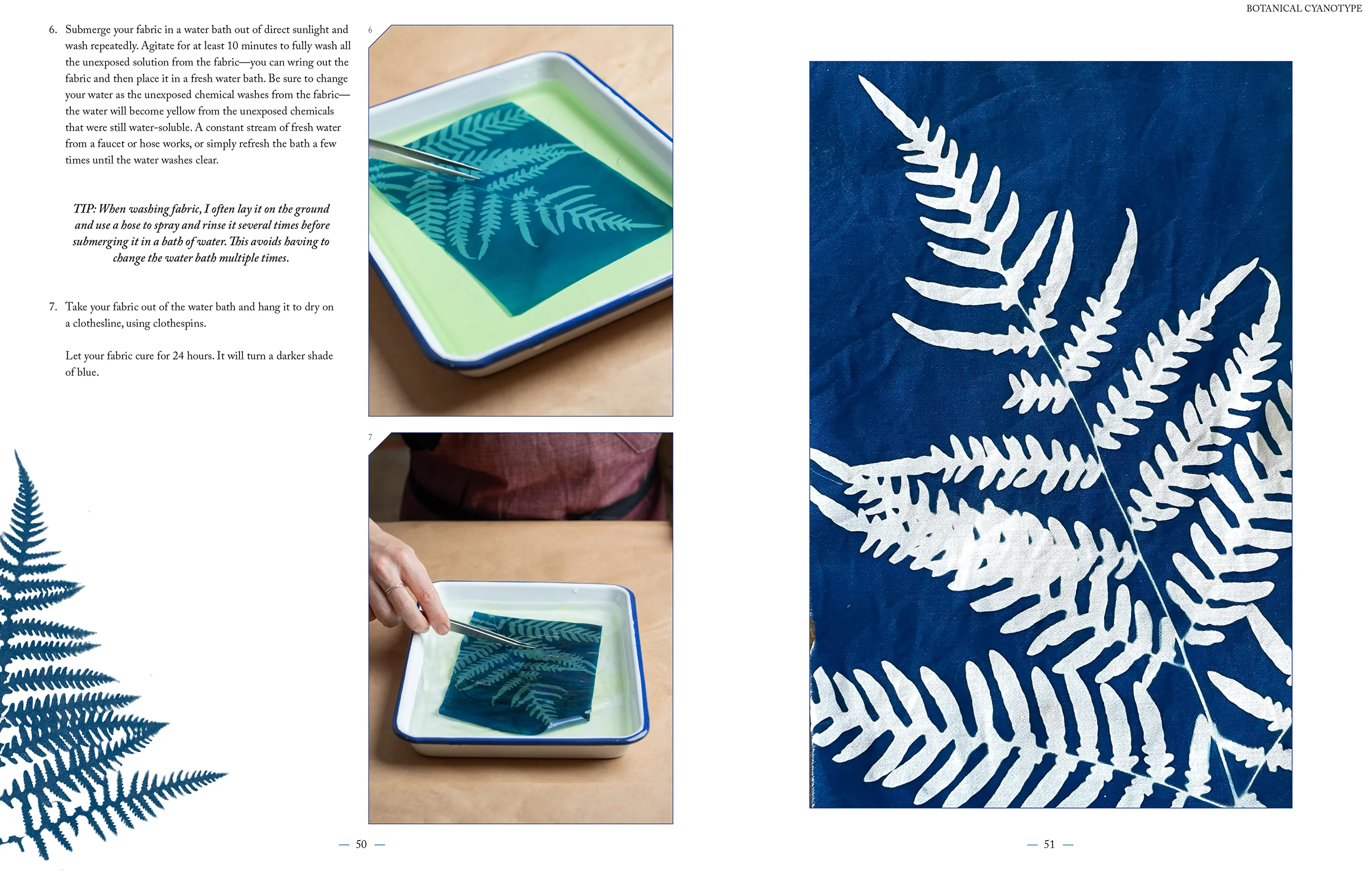 Botanical Cyanotype - Image 7