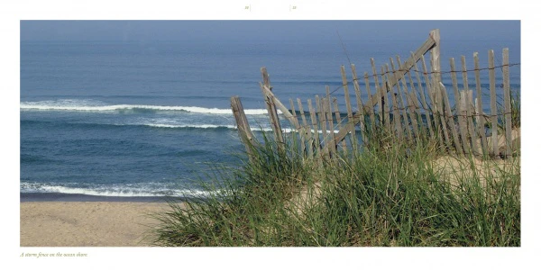 Cape Cod along the Shore - Image 4
