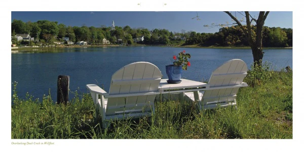 Cape Cod along the Shore - Image 5
