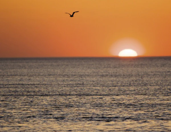 The Cape Cod National Seashore - Image 4
