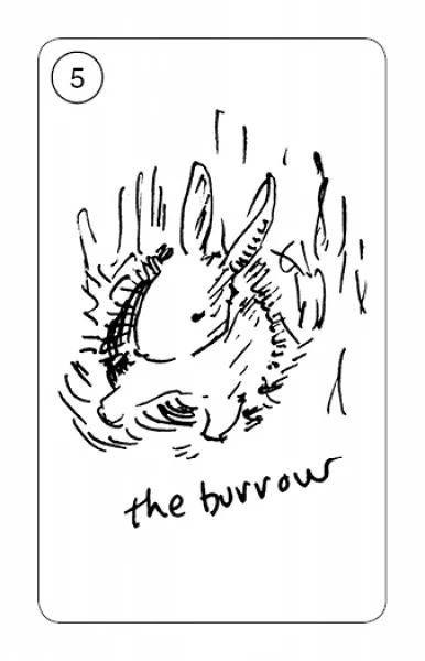 Carrot Cards - Image 4