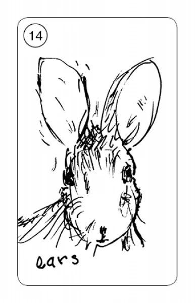 Carrot Cards - Image 6