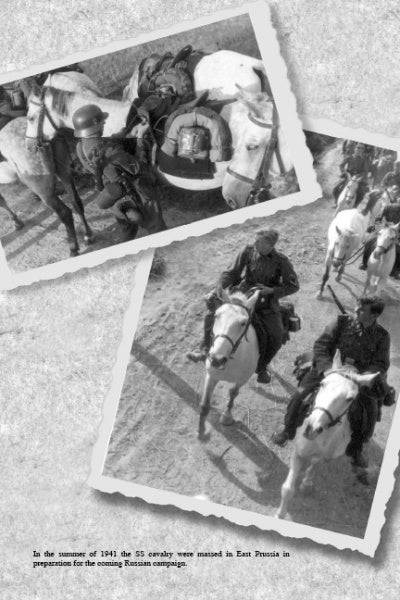 Cavalry Divisions of the Waffen-SS - Image 3