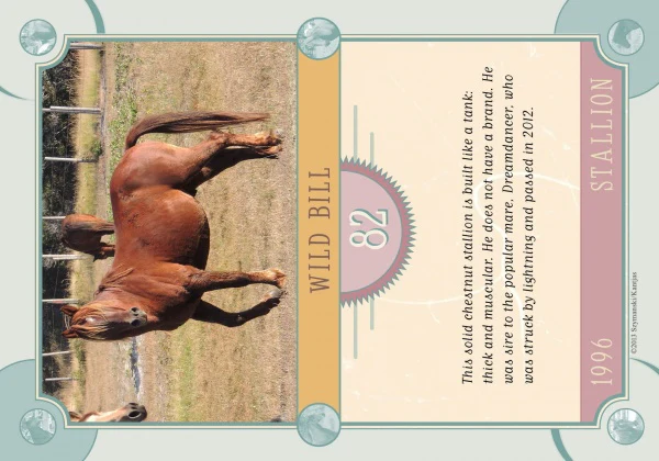 Chincoteague Pony Identification Cards - Image 7