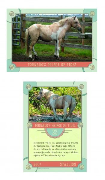 Chincoteague Pony Identification Cards - Image 3