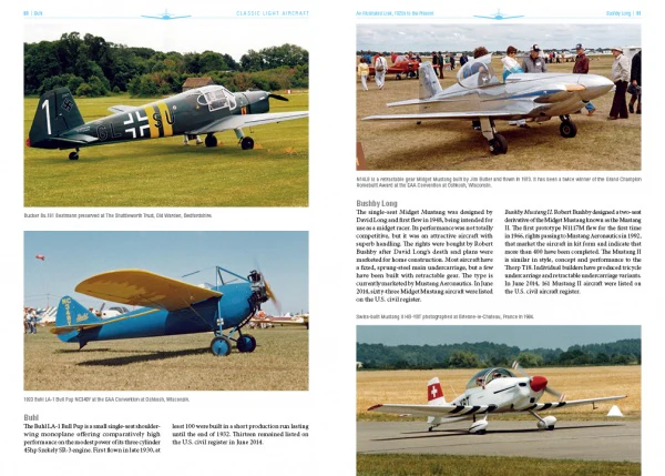 Classic Light Aircraft - Image 4