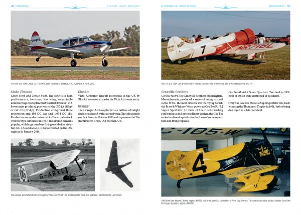 Classic Light Aircraft - Image 5