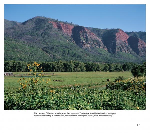 Durango Perspectives - Image 4