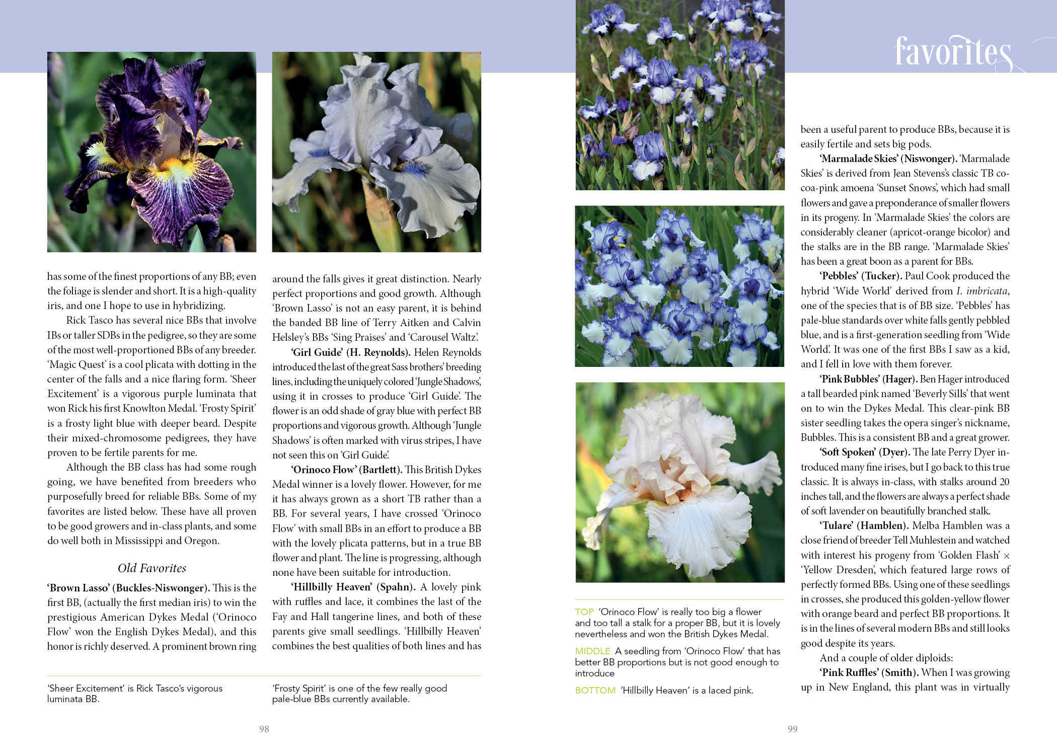 Dwarf and Median Bearded Irises - Image 6