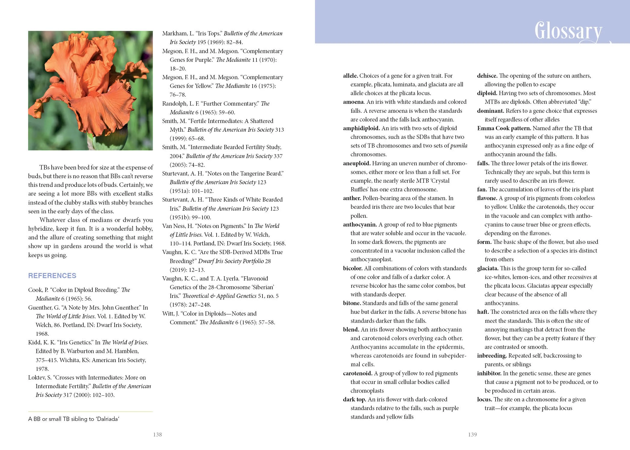 Dwarf and Median Bearded Irises - Image 7