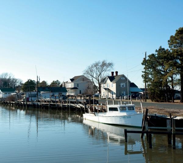 Eastern Shore Perspectives - Image 4