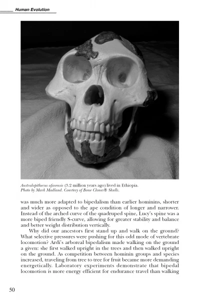 Evolutionary UFOlogy - Image 3
