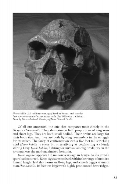 Evolutionary UFOlogy - Image 4