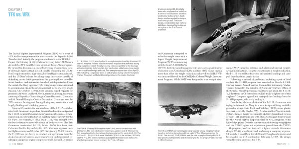 F-14 Tomcat - Image 3
