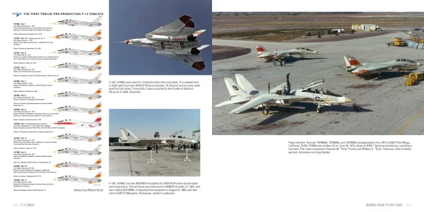 F-14 Tomcat - Image 4