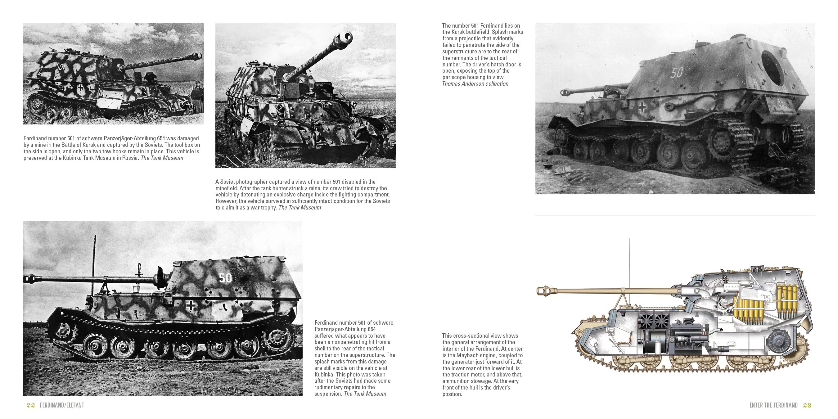Ferdinand/Elefant - Image 2