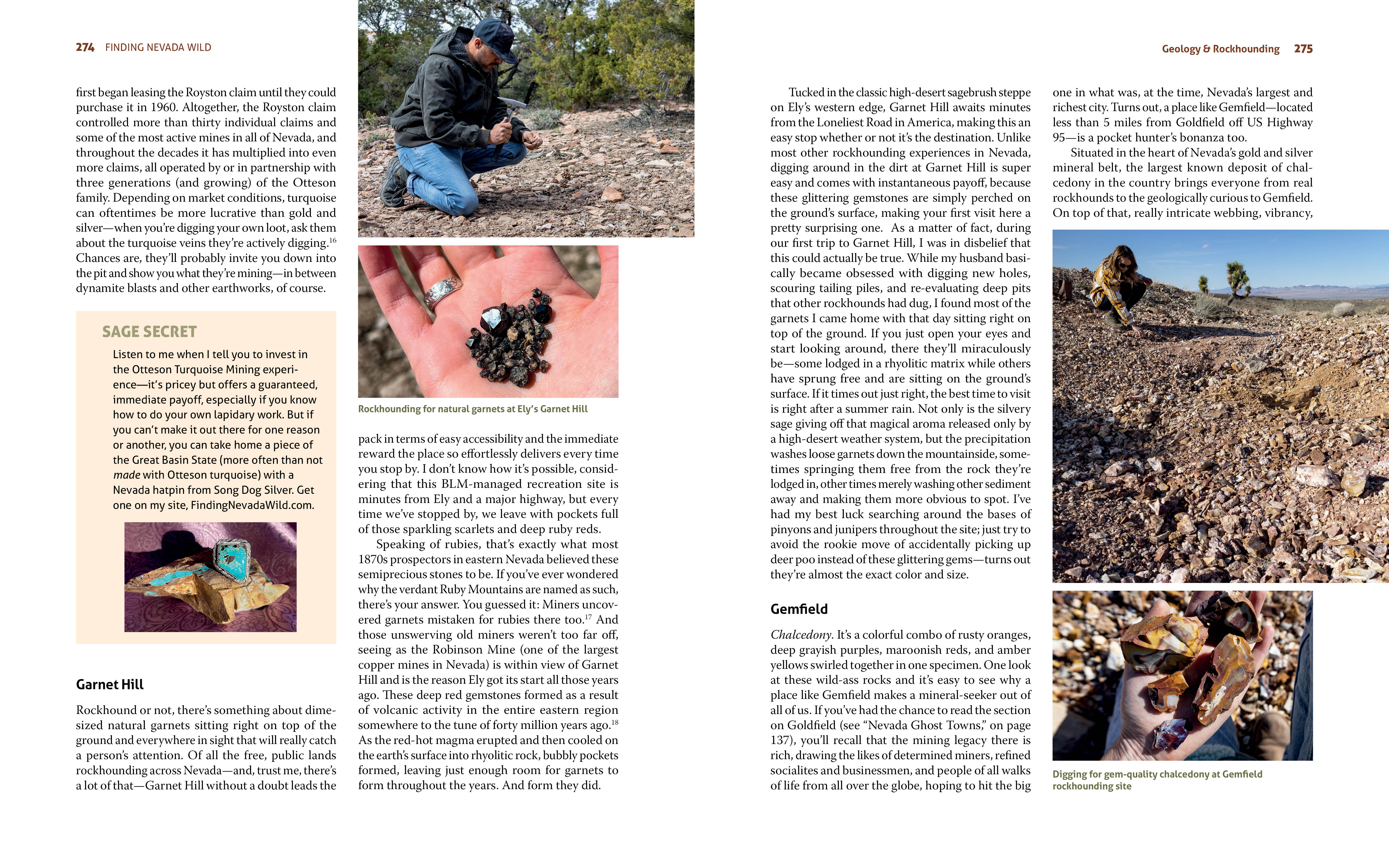 Finding Nevada Wild - Image 9