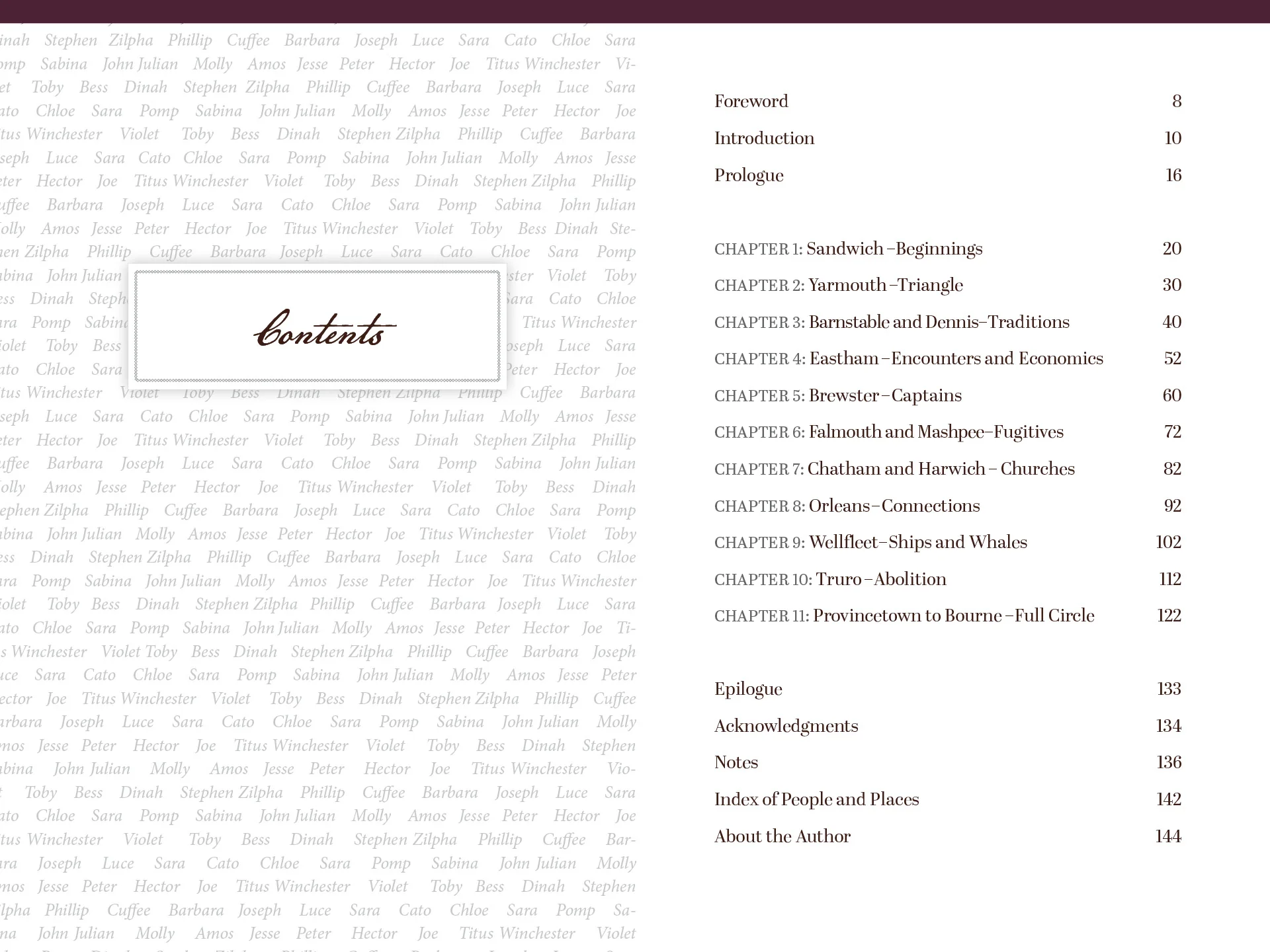 For the Unremembered - Image 2