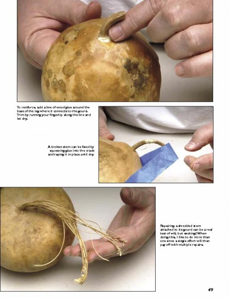 Gourd Art Basics - Image 4