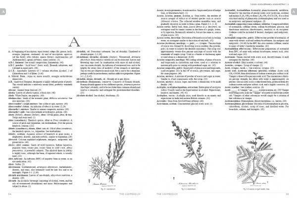 The Historical Apothecary Compendium - Image 6