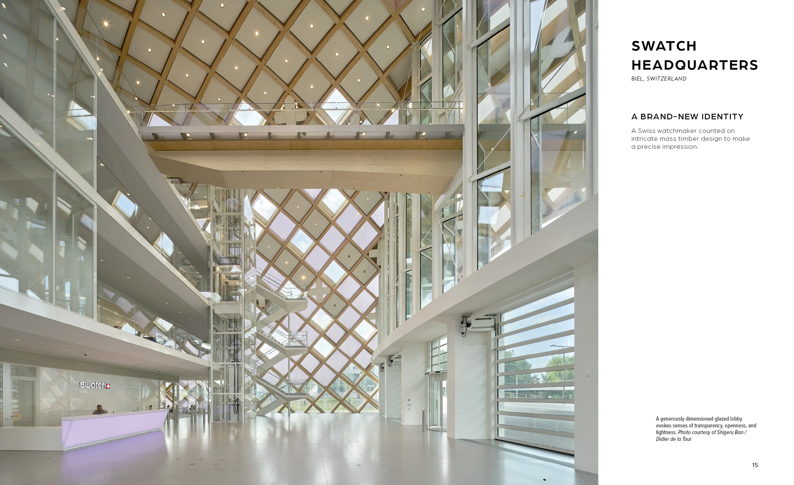 Innovations in Mass Timber - Image 3
