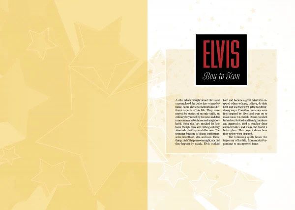 Inspired by Elvis - Image 3