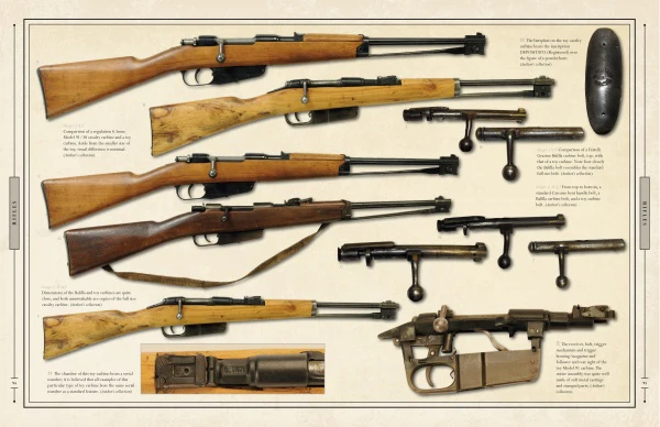Italian Small Arms of the First and Second World Wars - Image 3