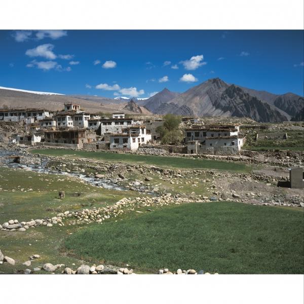 Ladakh - Image 2