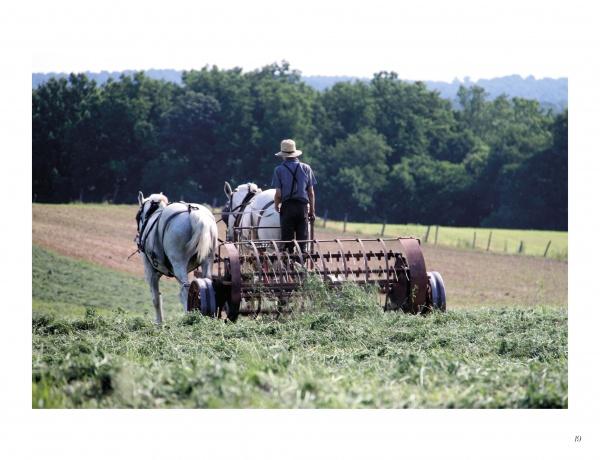 Lancaster County: Out and About - Image 2
