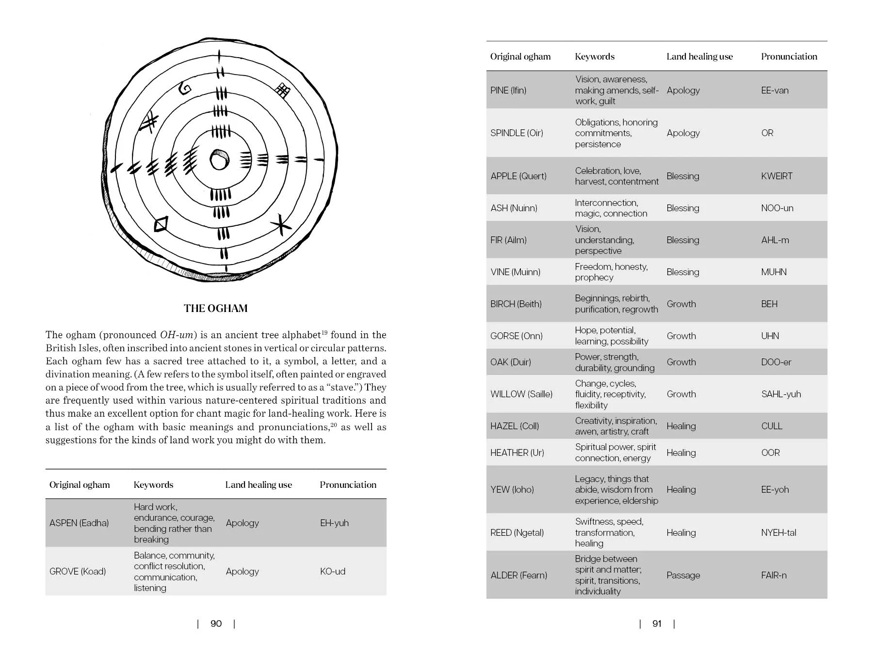 Land Healing - Image 5