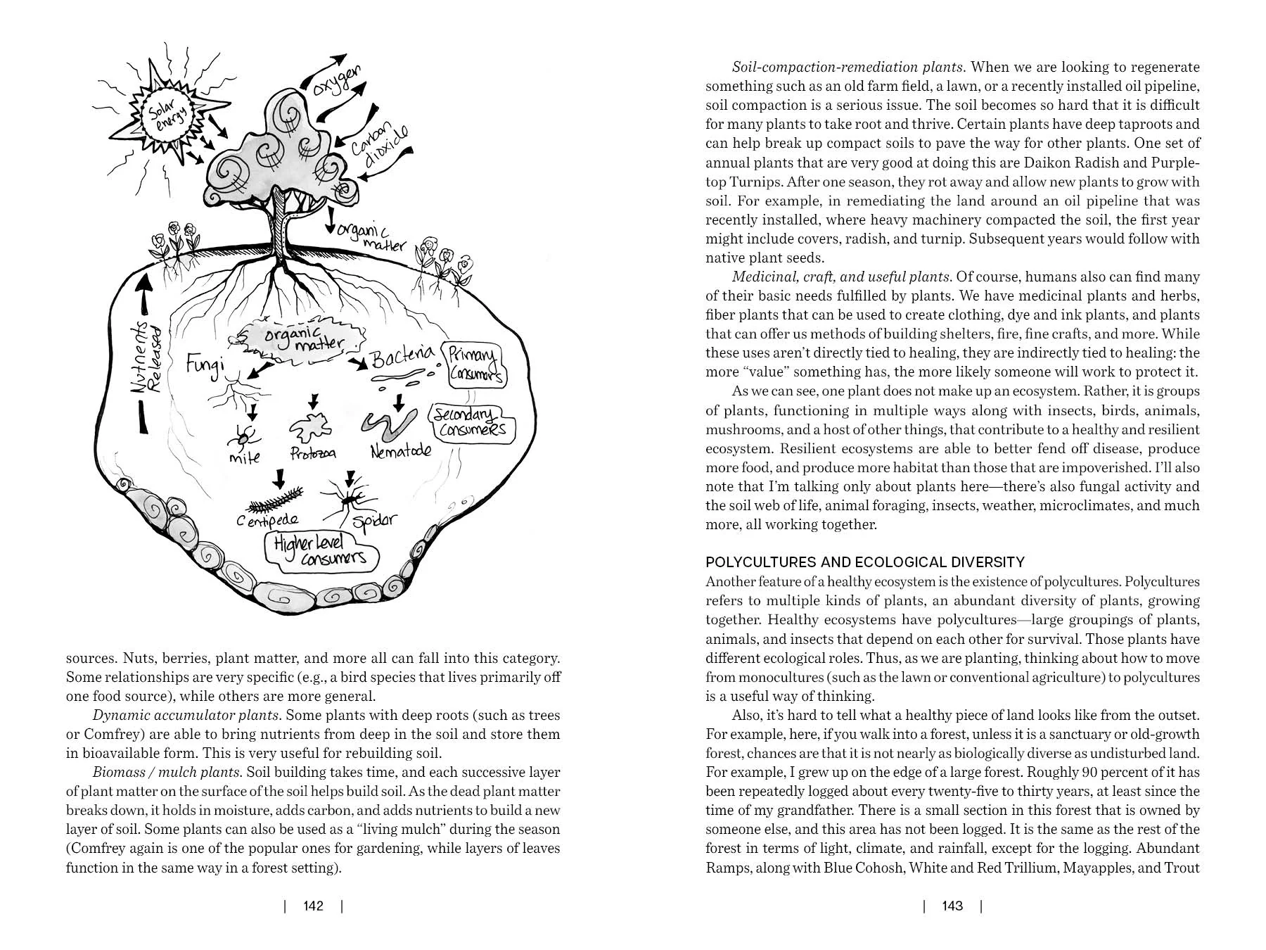 Land Healing - Image 6