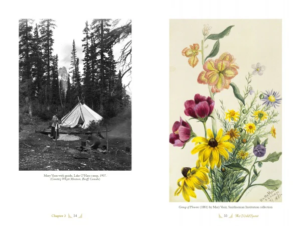 The Life and Times of Mary Vaux Walcott - Image 4