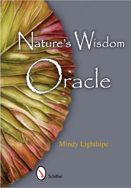 Nature's Wisdom Oracle - Image 4