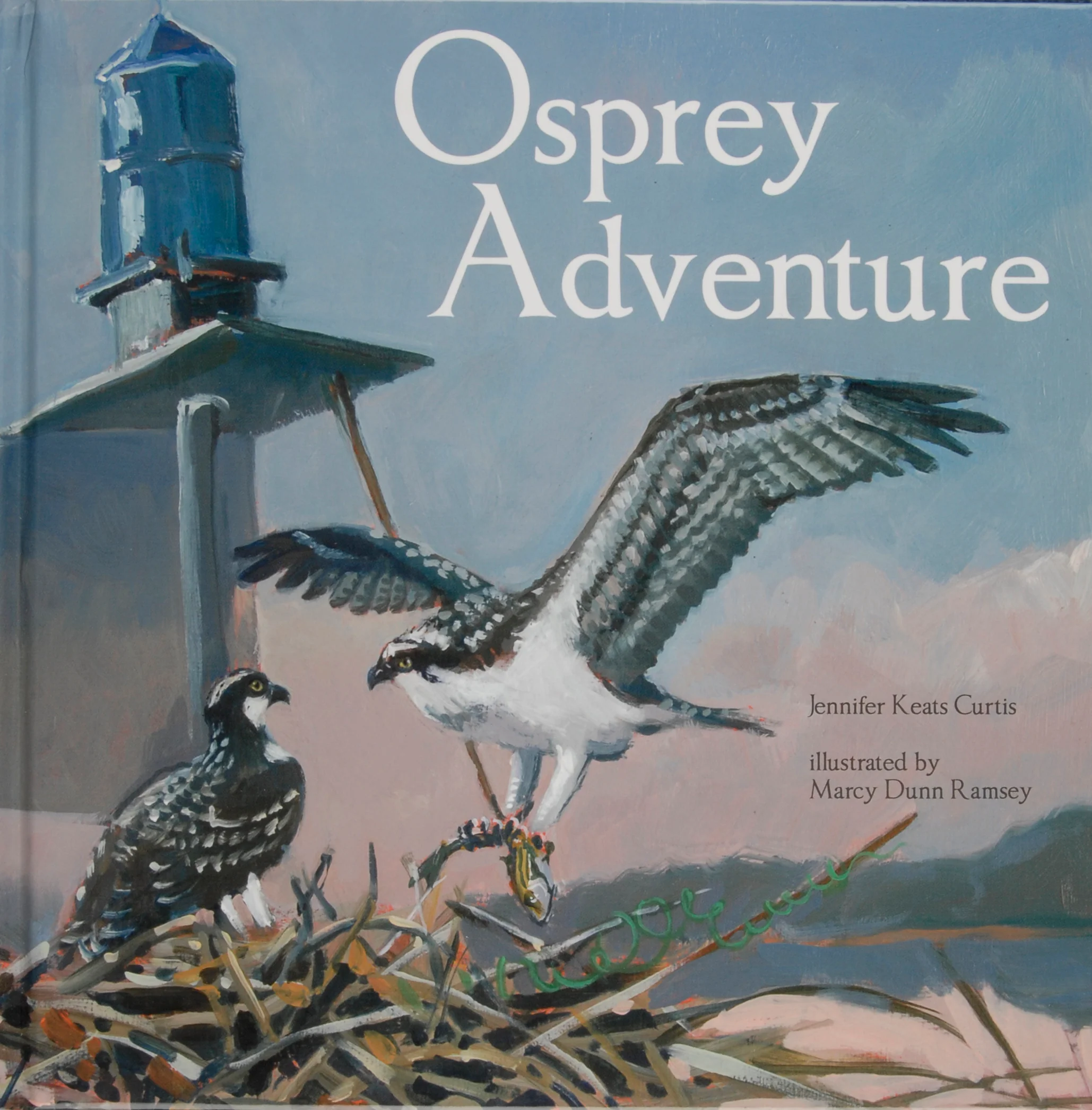 Osprey Adventure - Image 2