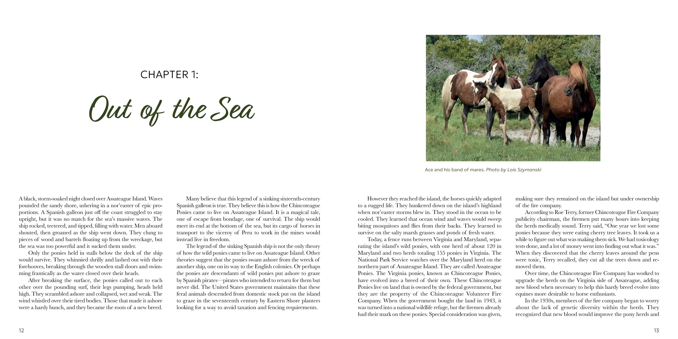 Out of the Sea - Image 3