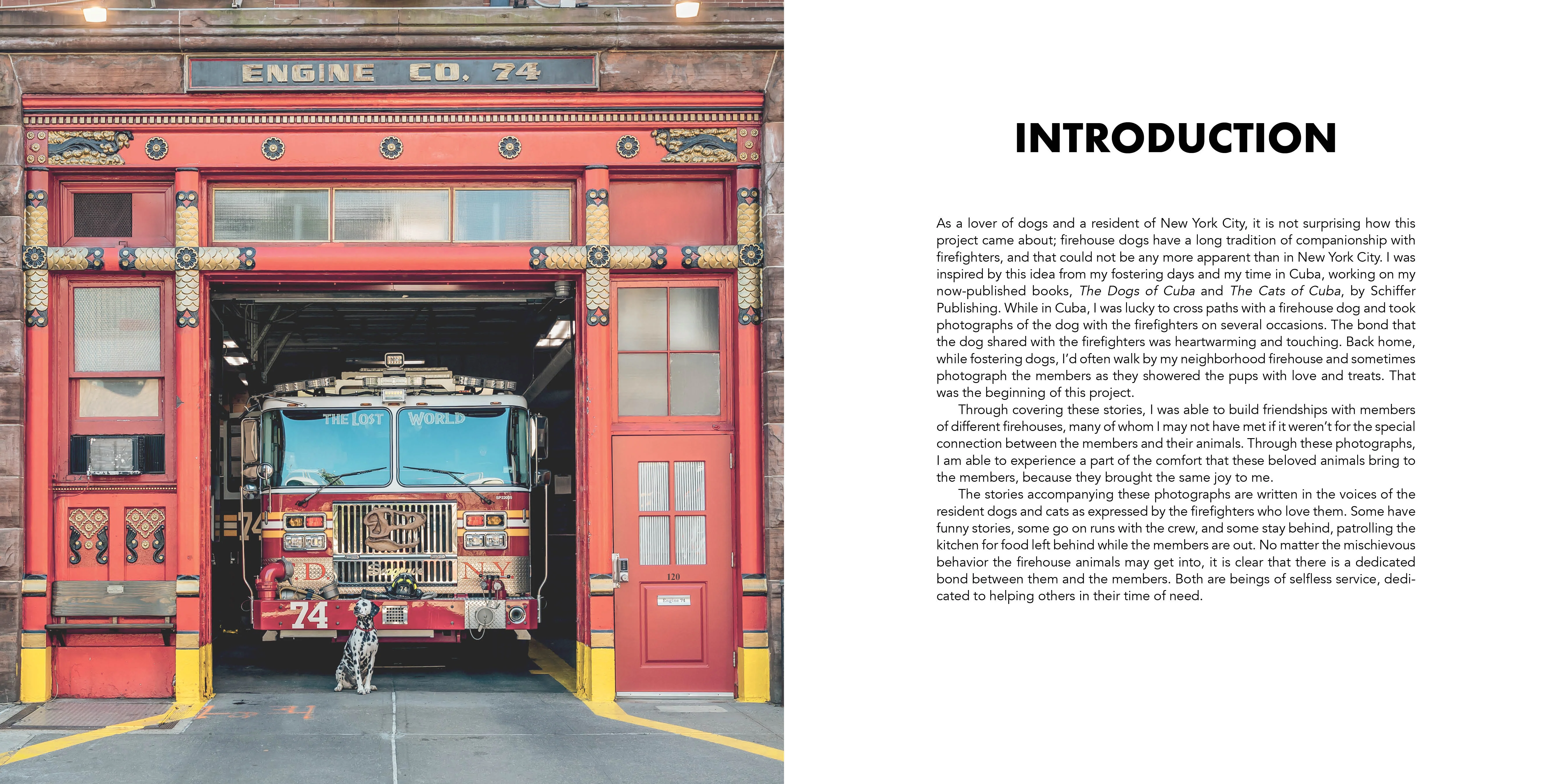 Paws of Firefighters - Image 2