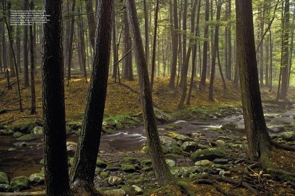 The Poconos - Image 5