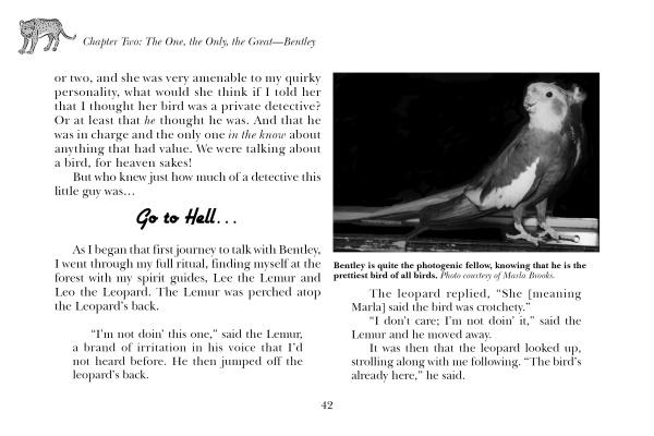 Psychic Pets - Image 3